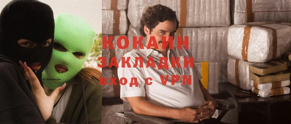 крисы Баксан
