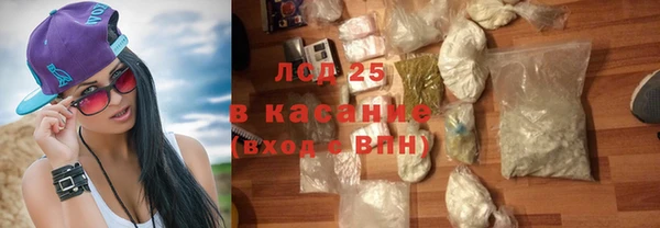 крисы Баксан