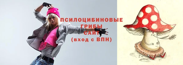 крисы Баксан