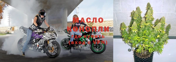 крисы Баксан