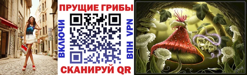 купить наркотики цена Миасс Псилоцибиновые грибы Magic Shrooms